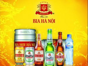 những tên công ty hay nhất Việt Nam