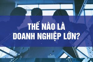 1-xac-dinh-quy-mo-doanh-nghiep-lon