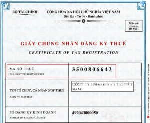 Mẫu giấy đăng kí mã số thuế cần có bố cục rõ ràng