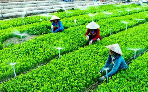 hop-tac-xa-co-phai-la-doanh-nghiep-khong-3