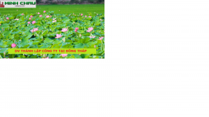 Dịch vụ thành lập công ty tại Đồng Tháp