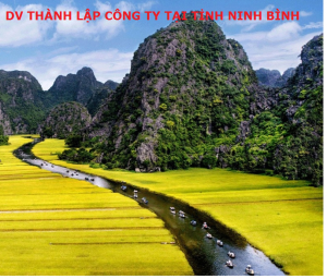 Dịch vụ thành lập công ty tại tỉnh Ninh Bình