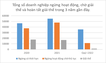 2-thuc-trang-giai-the-doanh-nghiep